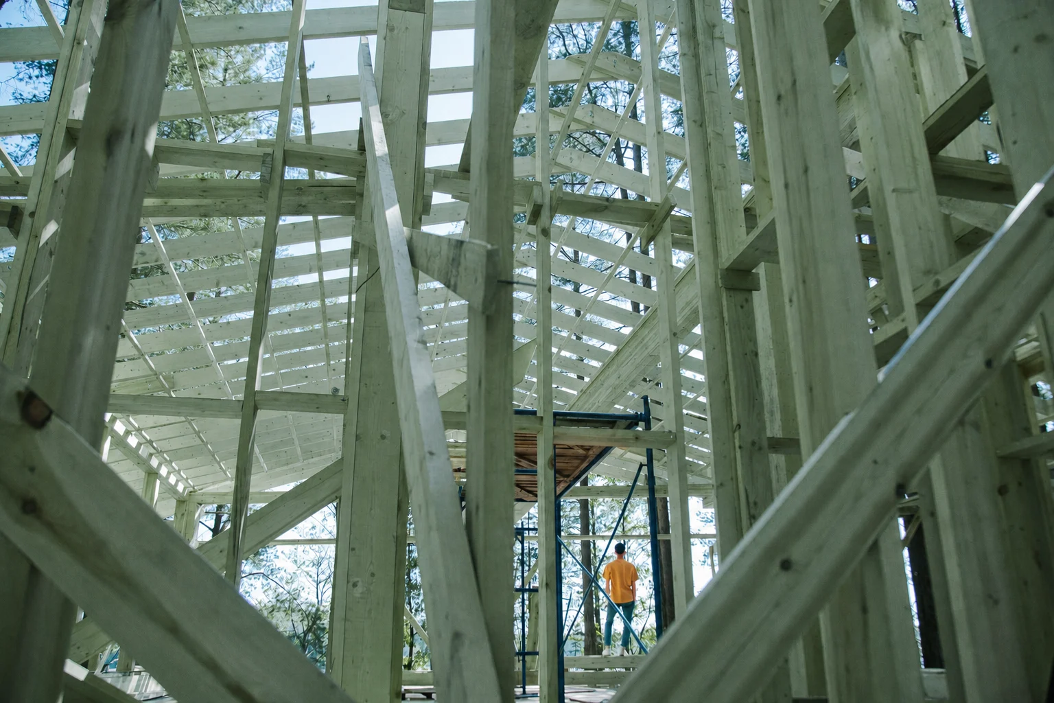 Authentic interior house framing with subtly green treated studs and rafters